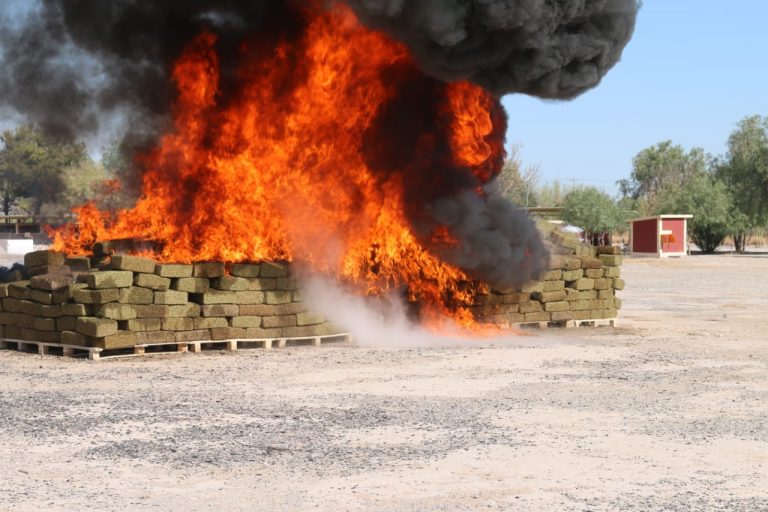 FGR incineró cerca de 6 toneladas de marihuana en Coahuila