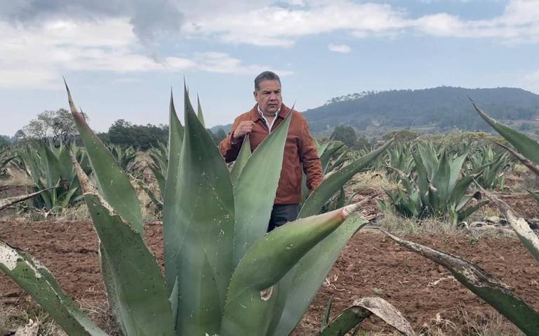 Alcanzar el sueño americano, una meta que se ha vuelto más compleja