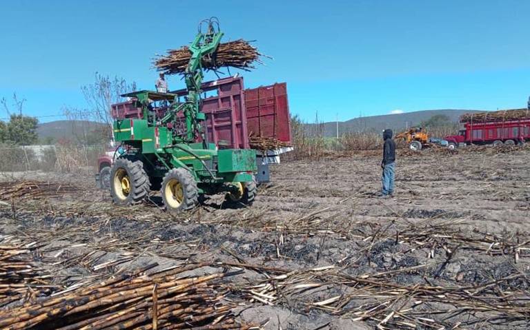 Lluvias al sur del estado afectan el corte y quema de la caña de azúcar