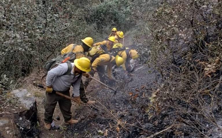 Controlan incendios en Tetela de Ocampo, El Verde y Chilchotla