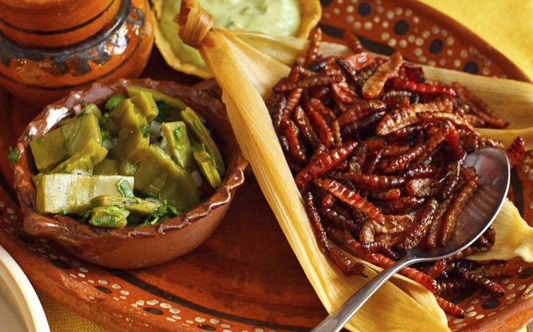 Reduce sequía la producción de insectos para la elaboración de platillos en Zapotitlán